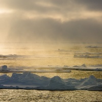 Banquise dérivante: 79°56 Nord