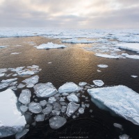 Banquise dérivante: 79°56 Nord