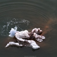 Iceberg