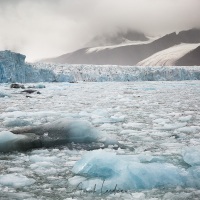 Glacier Monaco et brash