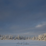 Sur la route pour Jokkmokk