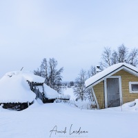 Chez les Sami