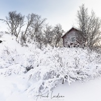 Paysage hivernal