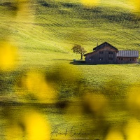 Ferme au milieu des prés