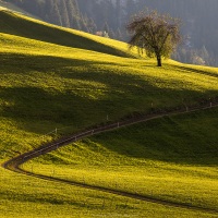 Paysage d'automne