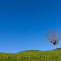 Paysage fribourgeois