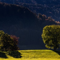 Paysage fribourgeois