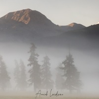 Grisons: Brume matinale