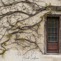 Romainmôtier, Vaud