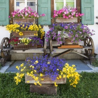 Grisons: Maison fleurie à Sils-Maria