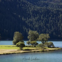 Grisons: Lac de Silvaplana