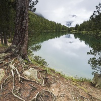 Grisons: Lac de Palpuogna