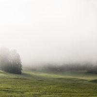 Grisons: Brume matinale