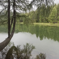 Grisons: Lac de Palpuogna