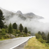 Grisons: Proximité du col de l'Albula sous le brouillard