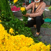Hanoi: marché aux fleurs