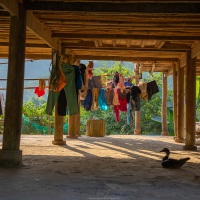 Scène de vie sous la maison sur pilotis