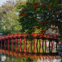 Hanoi: pont Thê Húc et flamboyant fleuri