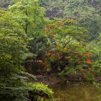 Lac sur le site de Hang Mua