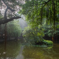 Lac sur le site de Hang Mua