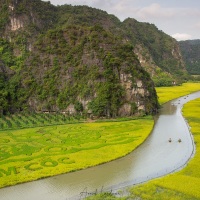 Ninh Hai: vue aérienne sur les rizières de la baie de Halong terrestre