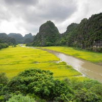 Ninh Hai: vue aérienne sur les rizières de la baie de Halong terrestre