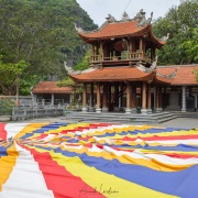 Temple bouddhiste de Thai Vi