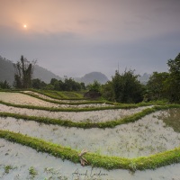 Lever de soleil sur les rizières en eau