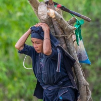 Femme La chi et son chargement de bois