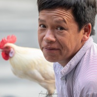 Marché ethnique: homme et son coq