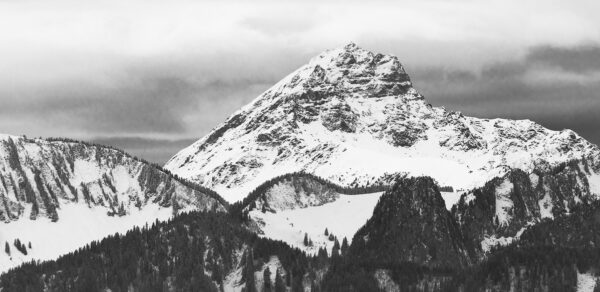 T7A2098-Panorama-2-2