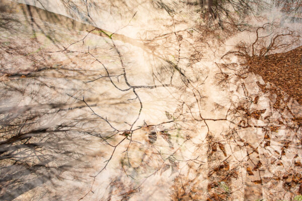 Abstraction automnale